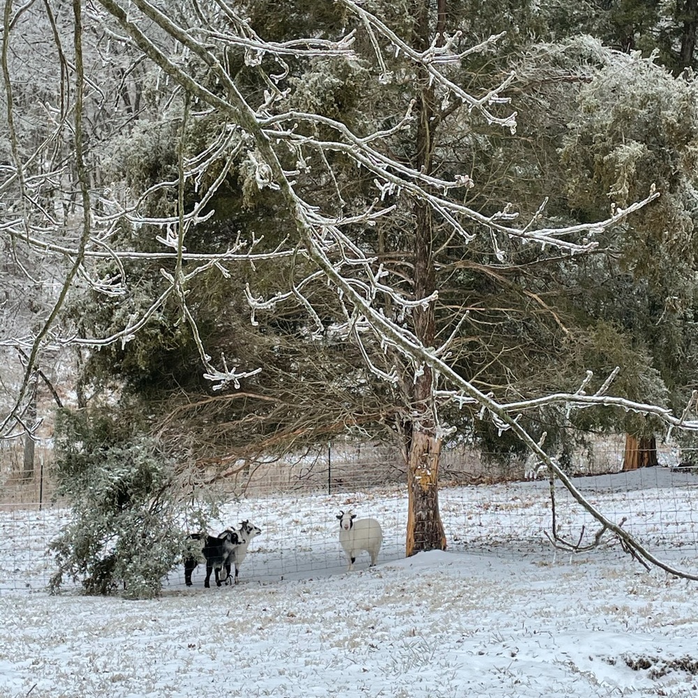 Meet your Posher, Kasie